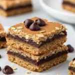 Chocolate Chip Peanut Butter Oatmeal Bars Recipe chocolate chip peanut butter oatmeal bars recipe 2025 12 24 030633 150x150 1